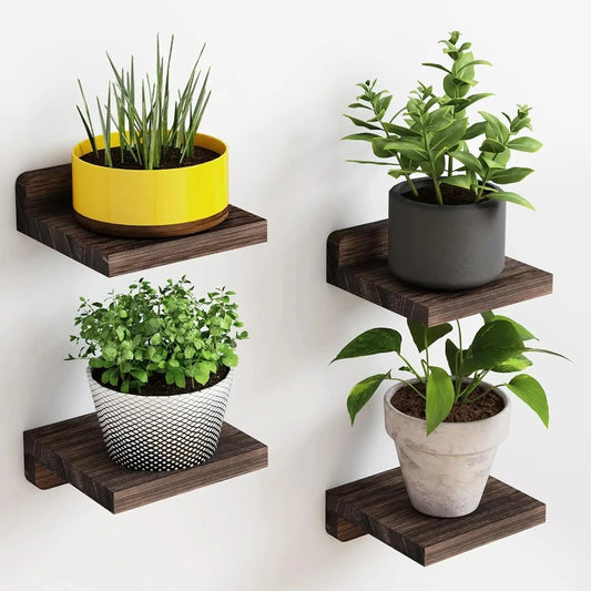 4-Pack Small Wood Floating Shelves 5 Inch Display Ledges for Wall Decor Mini with 2 Installation Types