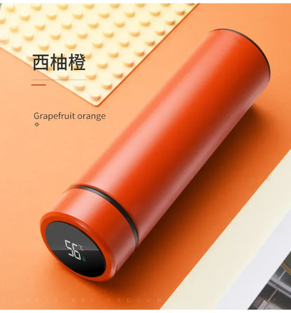 500ml Smart Temperature Display Thermos Cup Cute Children's Student Water Bottle Coffee Mug Stainless Steel Portable Drinkware